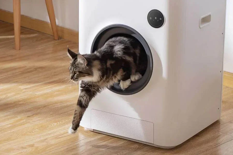 automated cat litter